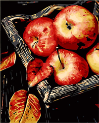 Äpfel im Korb Malen nach Zahlen