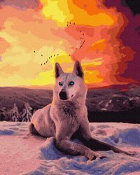 Arktischer Wolf Malen nach Zahlen