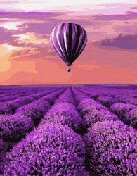 Ballon in der Provence. Malen nach Zahlen