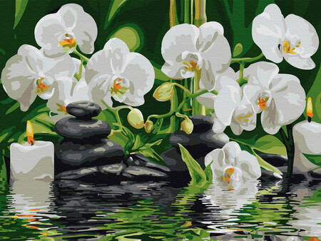 Diamantstickerei ohne Rahmen Orchideen im Wasser 30x40 Diamantmosaik 5D