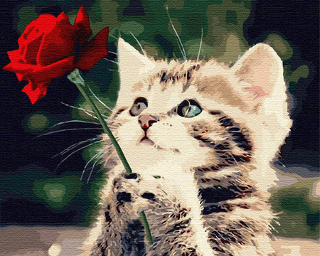 Kätzchen mit einer Rose Malen nach Zahlen