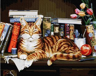Katze auf einem Bücherregal Malen nach Zahlen