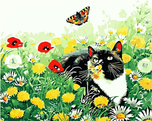 Katze und Schmetterling Malen nach Zahlen