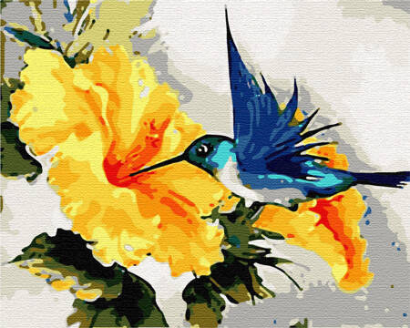 Kolibris und Blumen Malen nach Zahlen