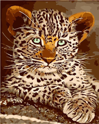 Leopardenkätzchen Malen nach Zahlen