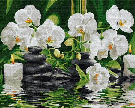 Orchideen im Wasser Malen nach Zahlen