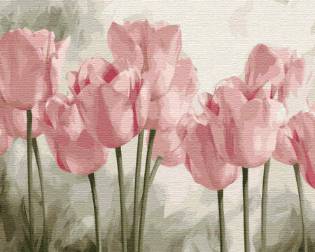 Rosa Tulpen Malen nach Zahlen