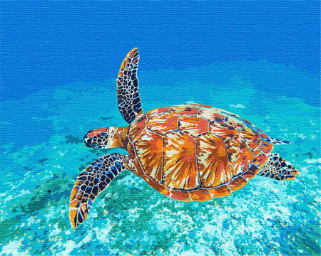 Schildkröte im Ozean Malen nach Zahlen