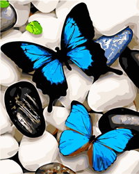 Schmetterlinge Malen nach Zahlen