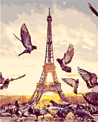 Tauben in Paris Malen nach Zahlen