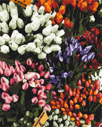 Tulpenmarkt Malen nach Zahlen
