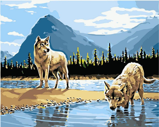 Wölfe im See Malen nach Zahlen