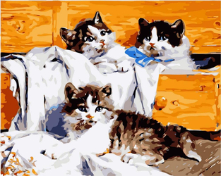 drei Kätzchen Malen nach Zahlen