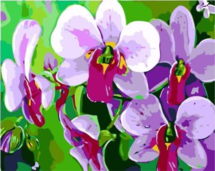 lila Orchideen Malen nach Zahlen