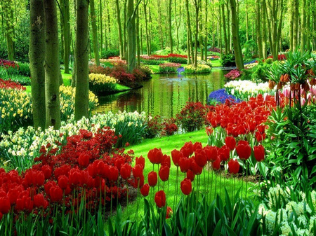 Rote Tulpen 40x30cm Diamantmalerei Mosaik