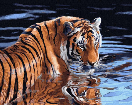 Tiger- und Wassermalerei nach Zahlen