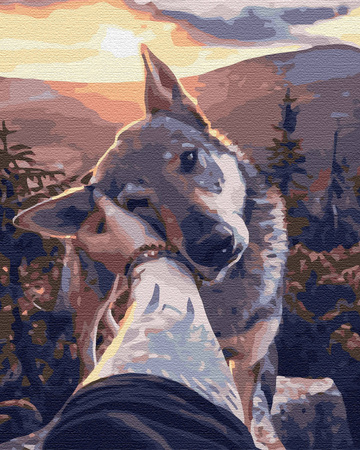 Treuer Freund Malen Nach Zahlen