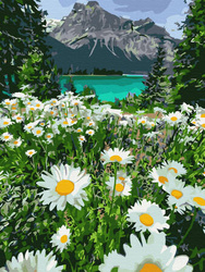 Diamant-Stickerei ohne Rahmen, Bergblumen, Kamillenlandschaft, 30 x 40, Diamant-Mosaik 5D