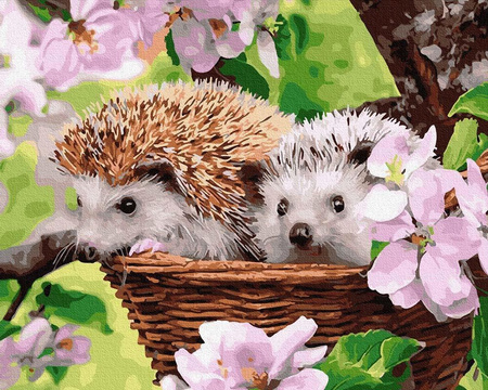 Igel in einem Korb 40x50 Malen nach Zahlen