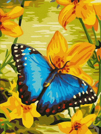 Blauer Schmetterling 30x40 Malen nach Zahlen