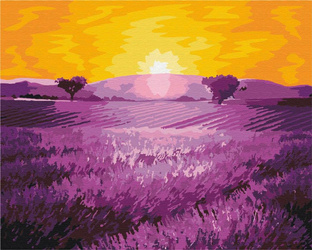 Sonnenaufgang über Lavendel Malen Nach Zahlen