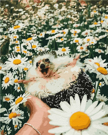 Igel in Gänseblümchen Malen Nach Zahlen