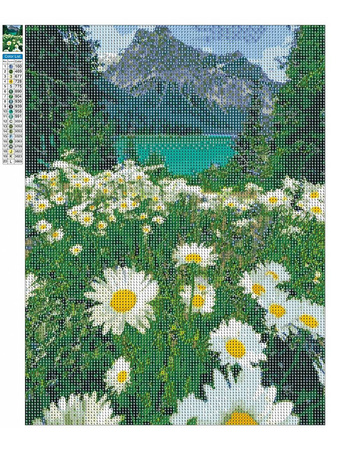 Diamant-Stickerei ohne Rahmen, Bergblumen, Kamillenlandschaft, 30 x 40, Diamant-Mosaik 5D