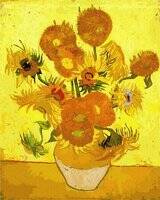 Sonnenblumen