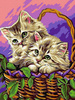 Kätzchen im Korb 30x40 Malen nach Zahlen