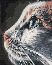 Katzenprofil Malen Nach Zahlen