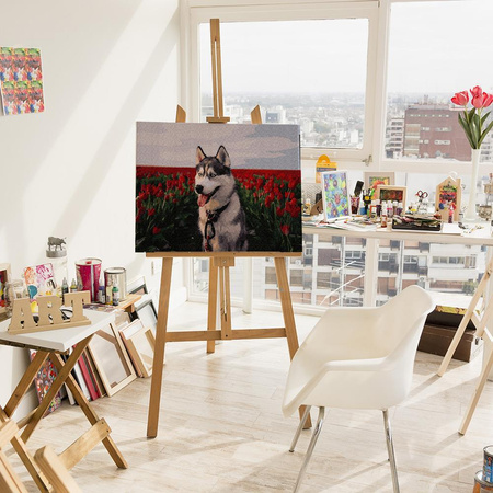 Husky in einem Tulpenfeld. Malen nach Zahlen