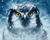 Eine Eule im Wintersturm Malen Nach Zahlen