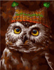 Eine Eule in einer Kappe. Malen nach Zahlen