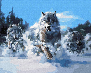 Verfolgung Malen Nach Zahlen