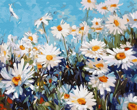 Gänseblümchen auf dem Feld Malen Nach Zahlen