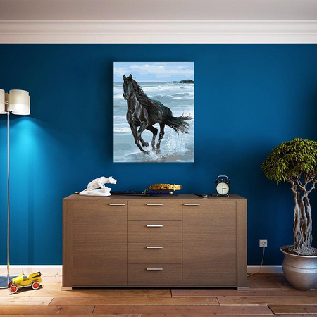 Schwarzes Pferd Malen Nach Zahlen