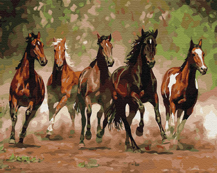 Pferderennen Malen Nach Zahlen