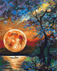 Mond über dem See Malen nach Zahlen