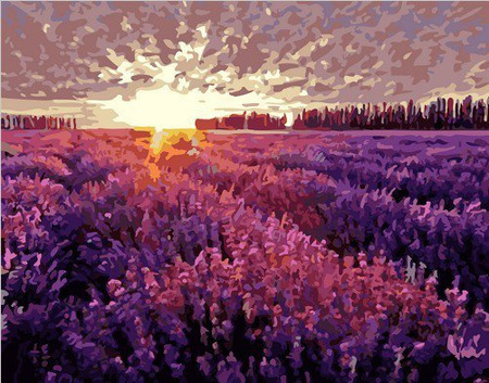 Sonnenuntergang über einem 50x65 Lavendelfeld, das durch Zahlen malt