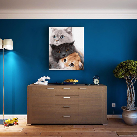 Katze Murkotki Malen Nach Zahlen