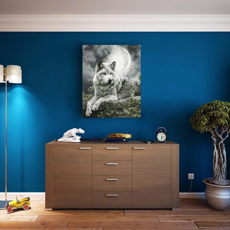 Nachtjäger 40x50 Malen nach Zahlen