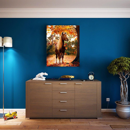 Pferd Malen Nach Zahlen