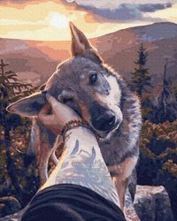 Treuer Freund Malen Nach Zahlen