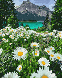 Eine Berglandschaft mit Kamille Malen Nach Zahlen