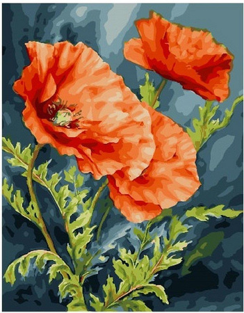 Zarte Mohnblumen, die nach Zahlen malen