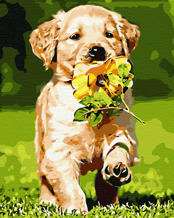 Welpe mit Blume Malen Nach Zahlen