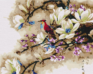 Exotischer Singvogel Malen Nach Zahlen