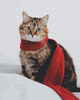 Katze mit rotem Schal vor winterlichem Hintergrund Malen Nach Zahlen