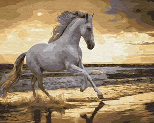 Pferd an der Küste Malen Nach Zahlen