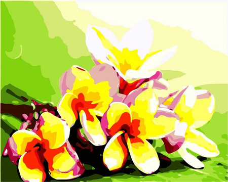 Tropische Plumeria Malen nach Zahlen